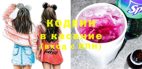 гашик Козельск
