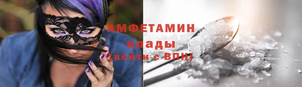 гашик Козельск