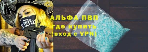 гашик Козельск